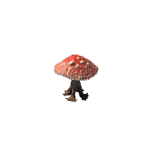 Mushroom_v2 DEMO